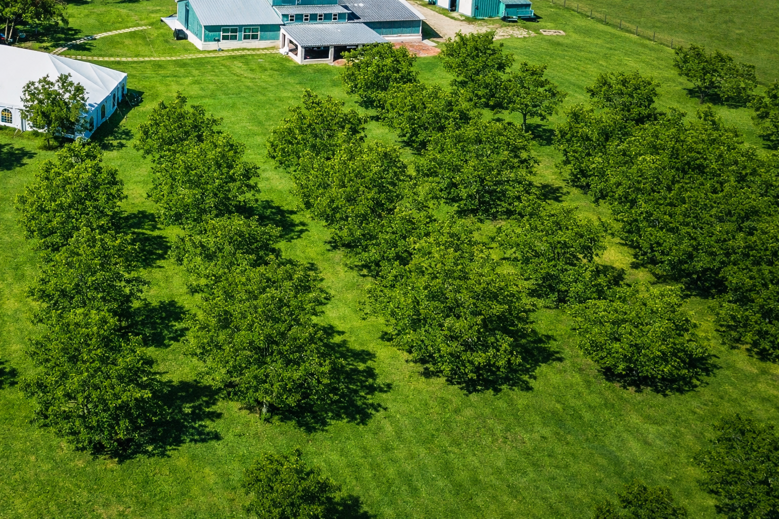 Rural summer event with turquoise buildings